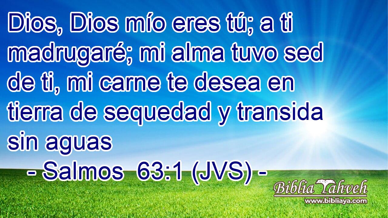 Dios, Dios mío eres tú; a ti madrugaré; mi alma tuvo sed de ti, mi carne te desea en tierra de sequedad y transida sin aguas