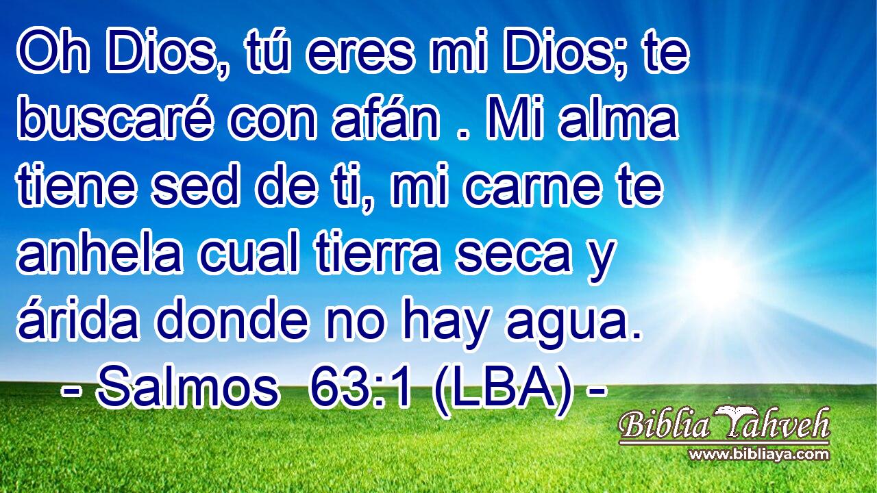 Oh Dios, tú eres mi Dios; te buscaré con afán . Mi alma tiene sed de ti, mi carne te anhela cual tierra seca y árida donde no hay agua.