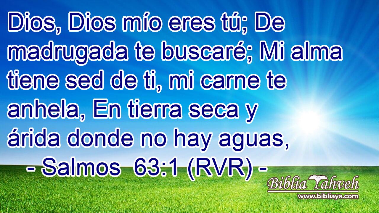 Dios, Dios mío eres tú; De madrugada te buscaré; Mi alma tiene sed de ti, mi carne te anhela, En tierra seca y árida donde no hay aguas,