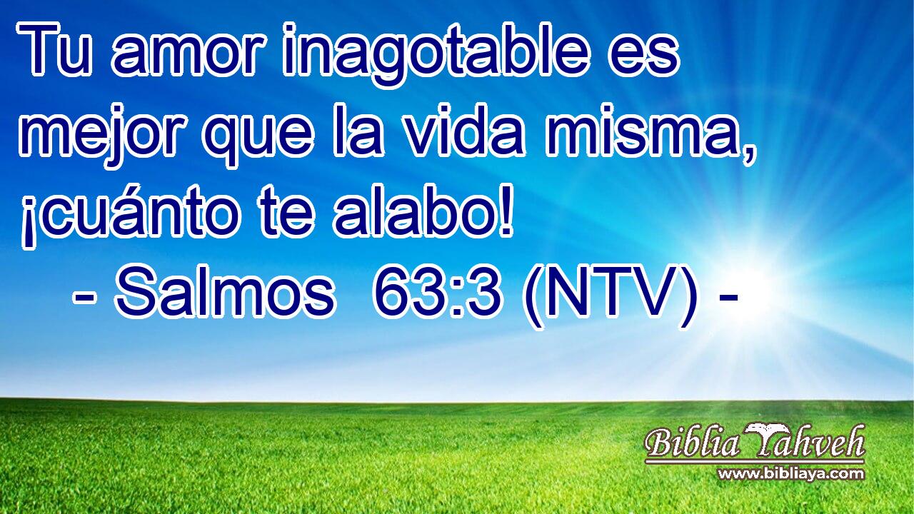 Tu amor inagotable es mejor que la vida misma, ¡cuánto te alabo!