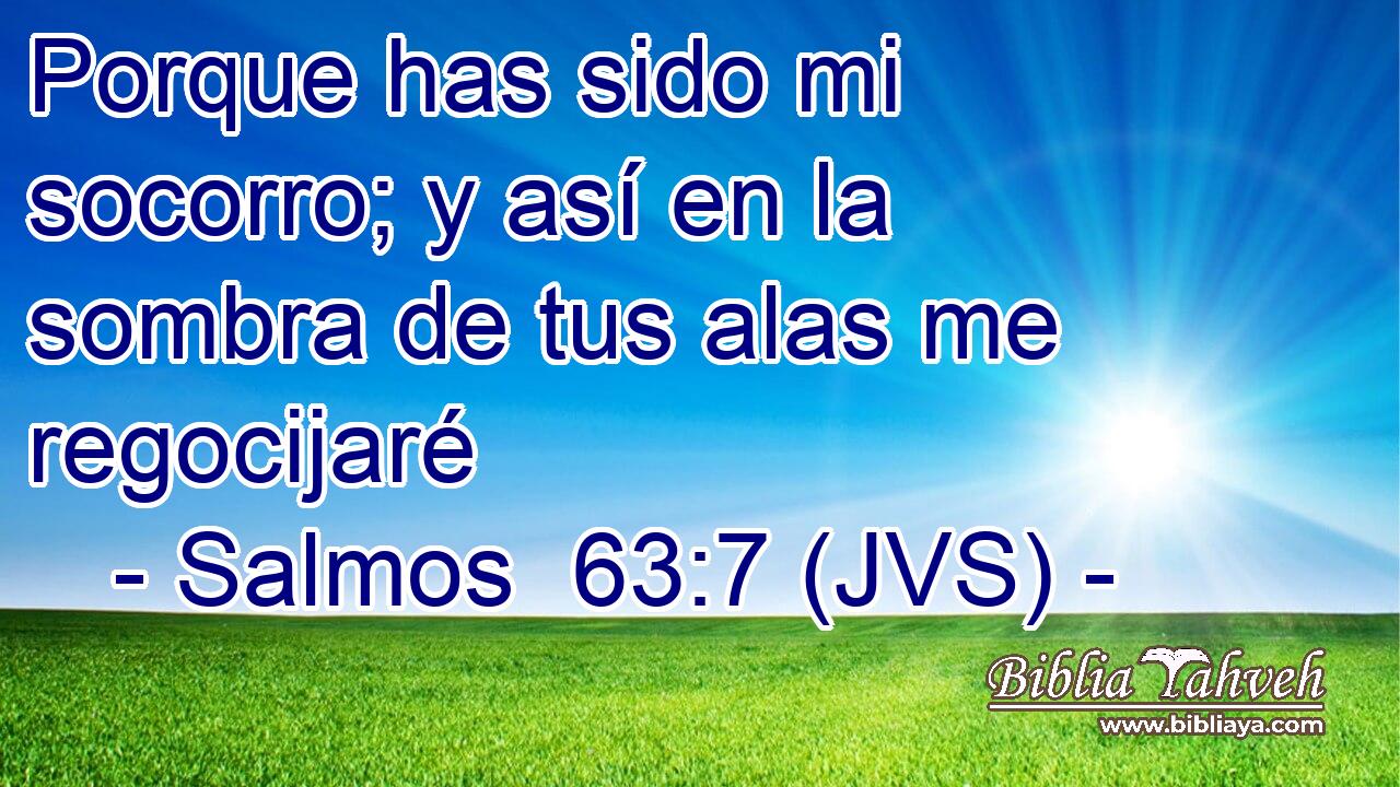 Porque has sido mi socorro; y así en la sombra de tus alas me regocijaré