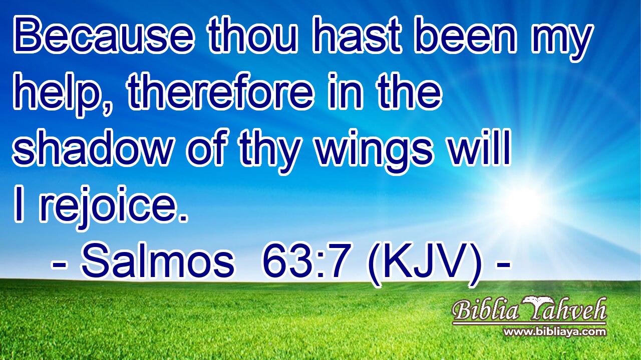 Because thou hast been my help, therefore in the shadow of thy wings will I rejoice.