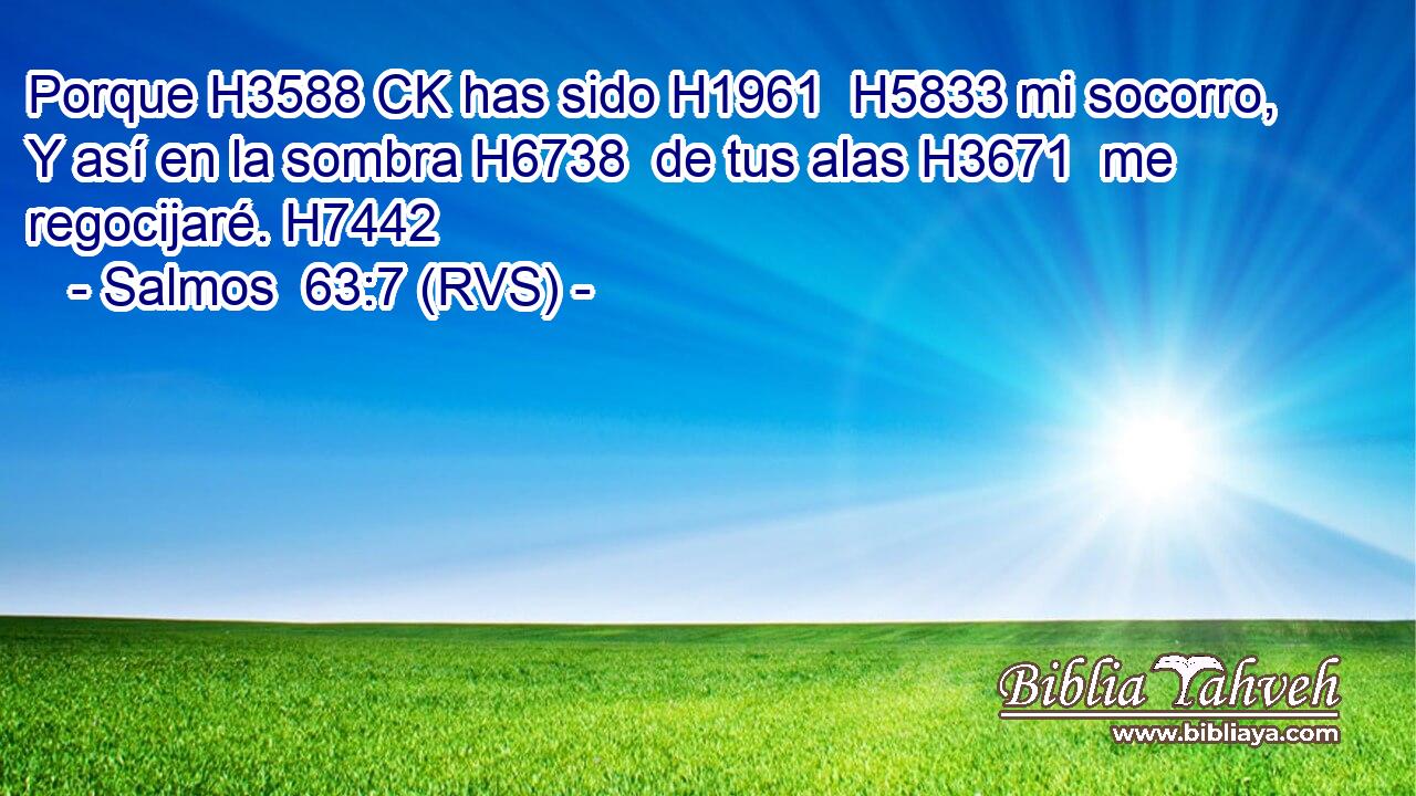 Porque H3588 CK has sido H1961  H5833 mi socorro, Y así en la sombra H6738  de tus alas H3671  me regocijaré. H7442  