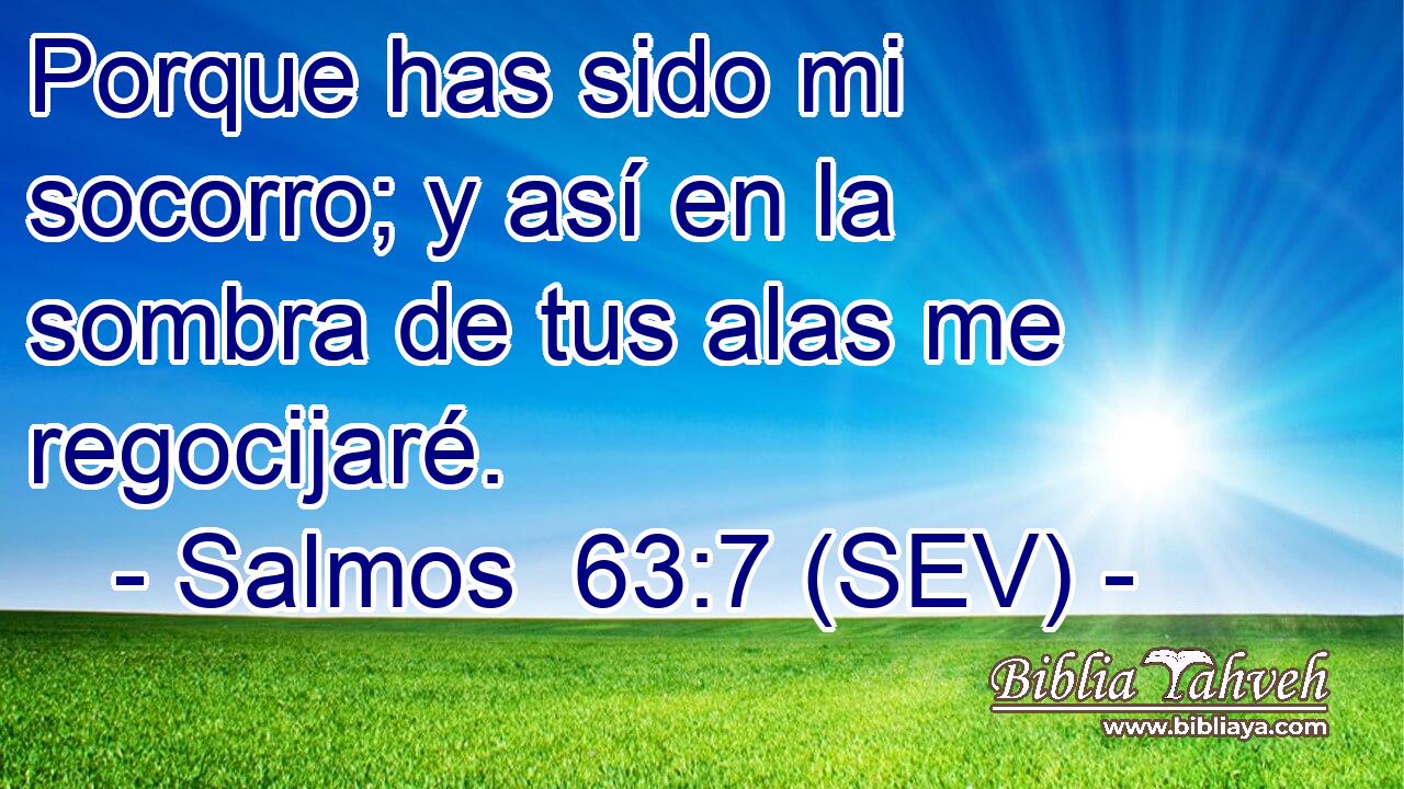 Porque has sido mi socorro; y así en la sombra de tus alas me regocijaré.