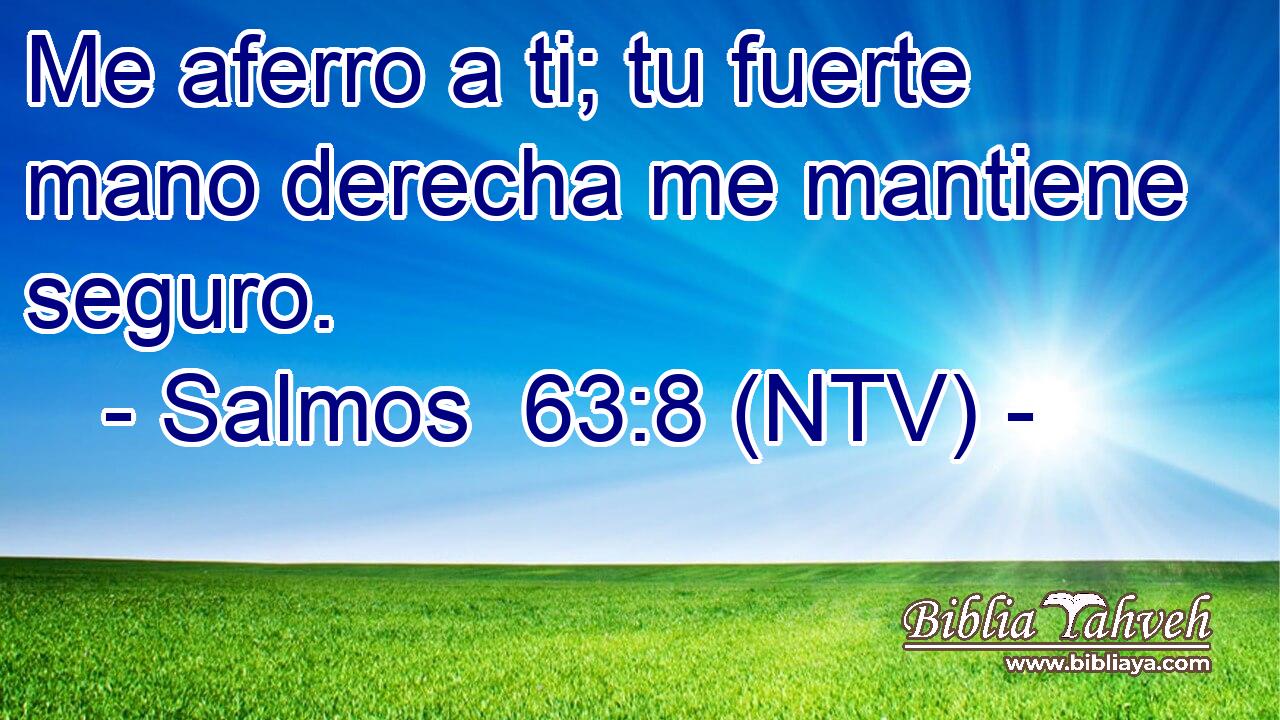 Me aferro a ti; tu fuerte mano derecha me mantiene seguro.