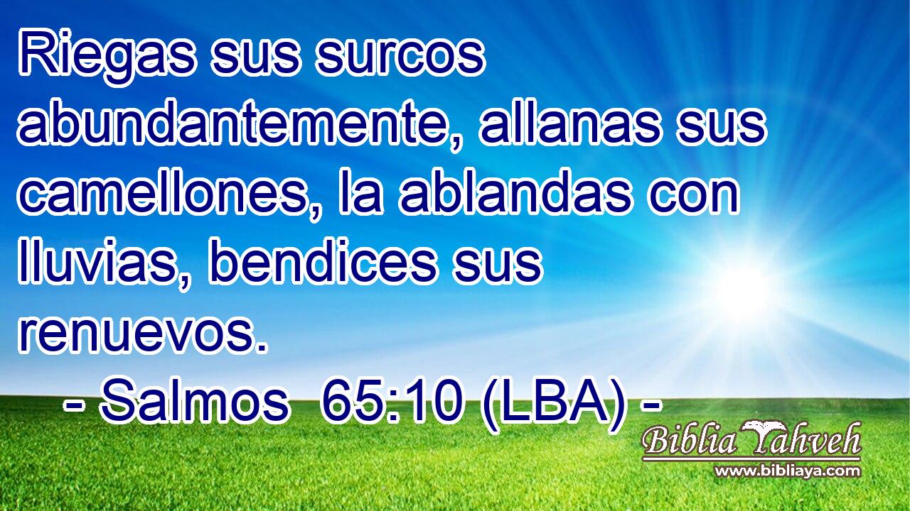 Riegas sus surcos abundantemente, allanas sus camellones, la ablandas con lluvias, bendices sus renuevos.