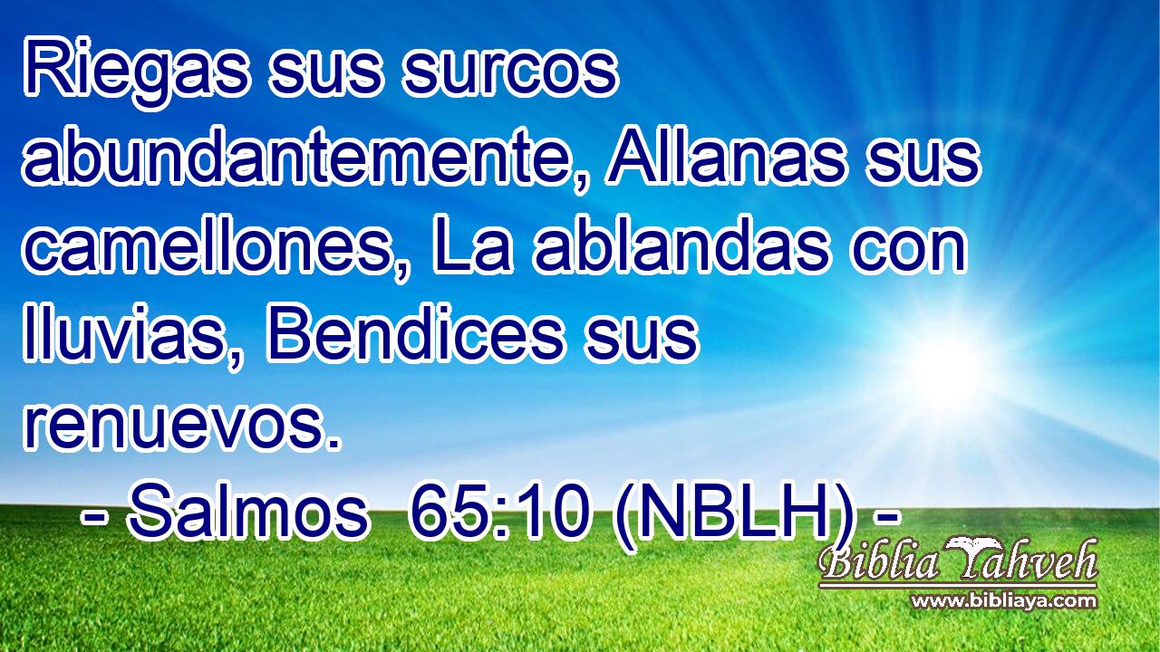 Riegas sus surcos abundantemente, Allanas sus camellones, La ablandas con lluvias, Bendices sus renuevos. 