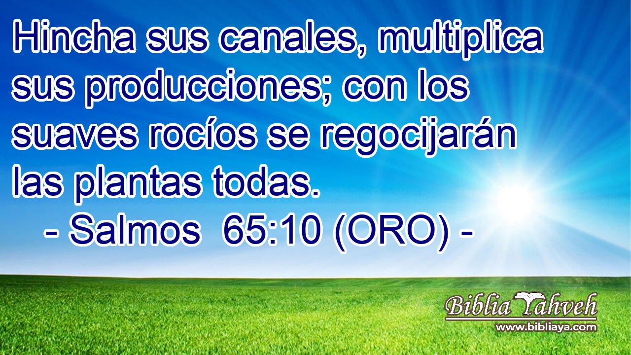  Hincha sus canales, multiplica sus producciones; con los suaves rocíos se regocijarán las plantas todas. 