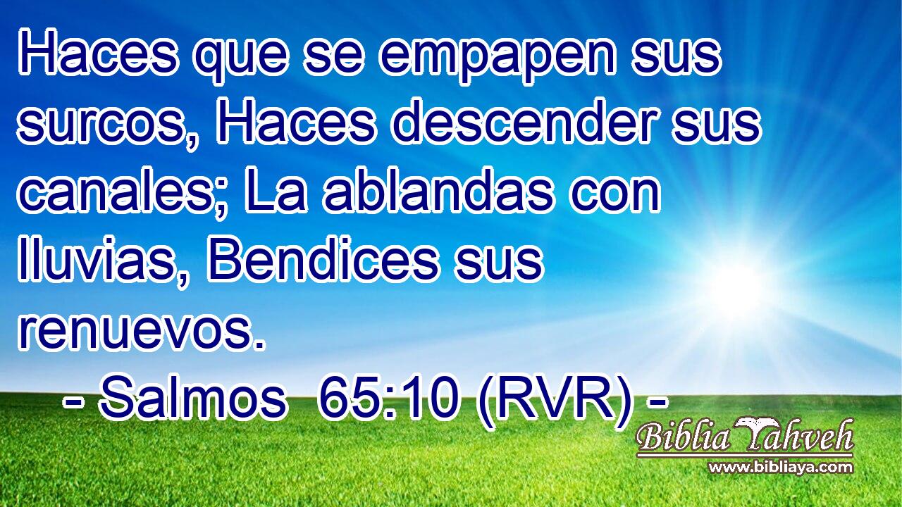 Haces que se empapen sus surcos, Haces descender sus canales; La ablandas con lluvias, Bendices sus renuevos.