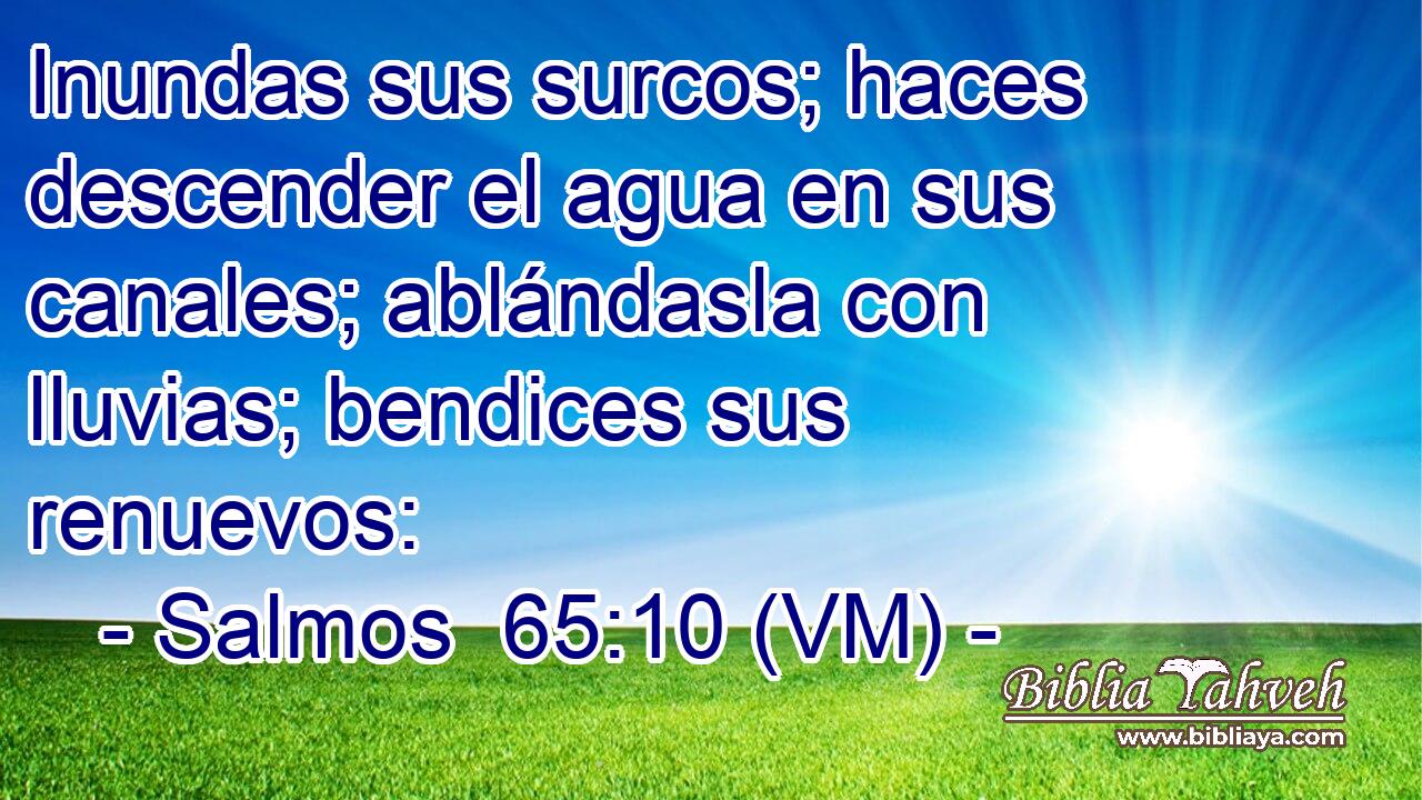  Inundas sus surcos; haces descender el agua en sus canales; ablándasla con lluvias; bendices sus renuevos: 