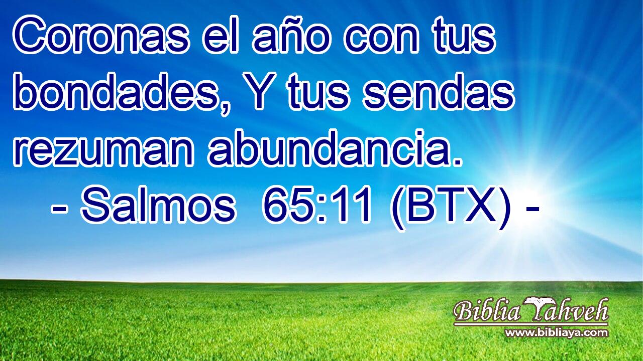 Coronas el año con tus bondades, Y tus sendas rezuman abundancia.