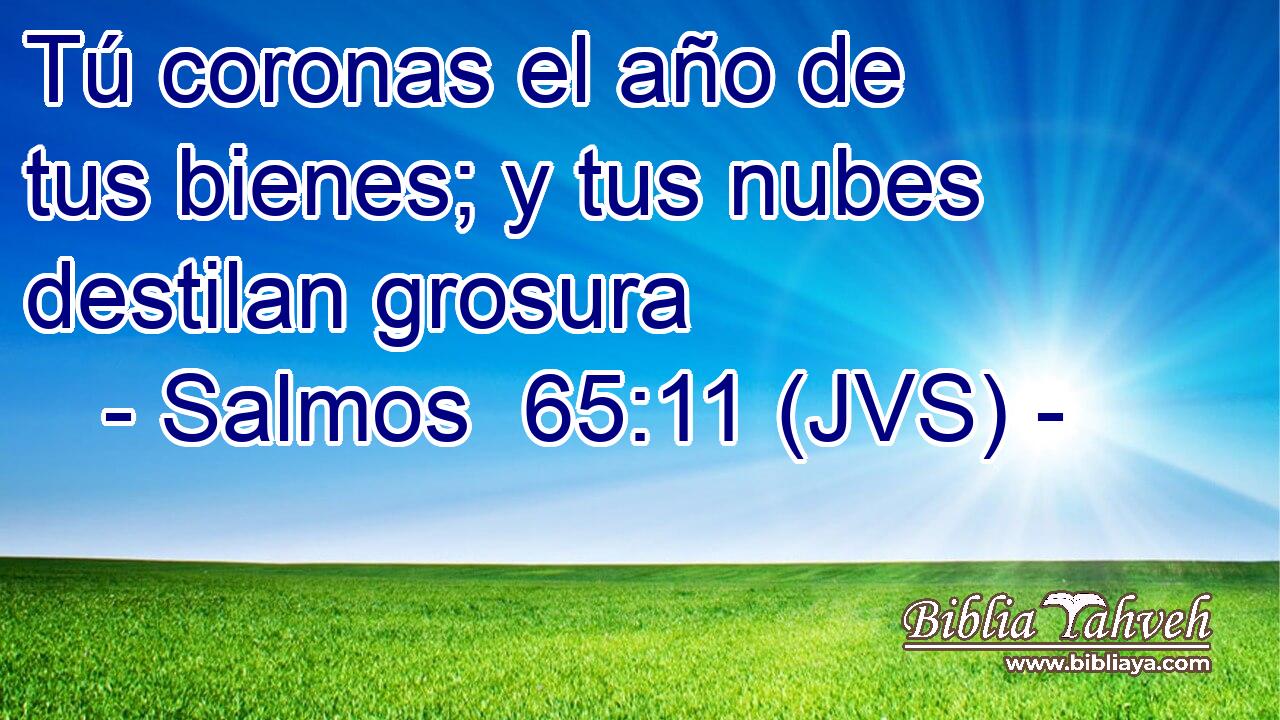 Tú coronas el año de tus bienes; y tus nubes destilan grosura