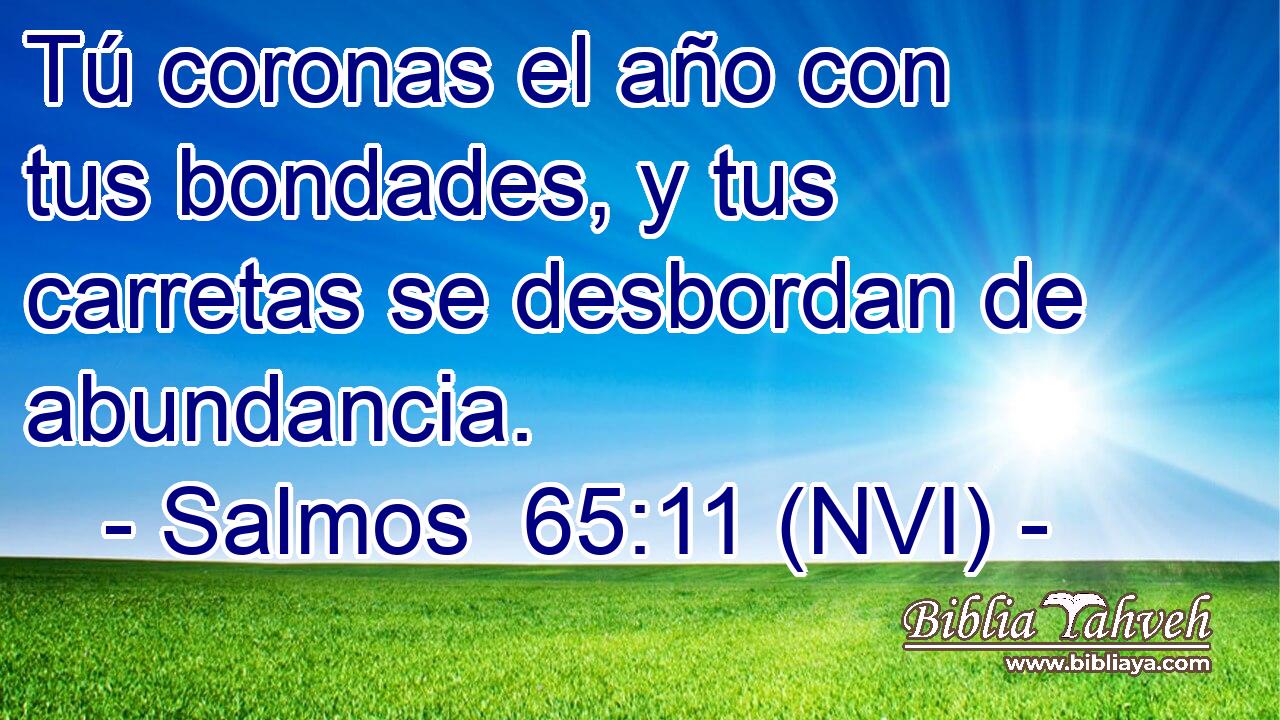  Tú coronas el año con tus bondades, y tus carretas se desbordan de abundancia. 