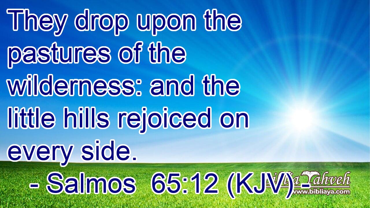 They drop upon the pastures of the wilderness: and the little hills rejoiced on every side.