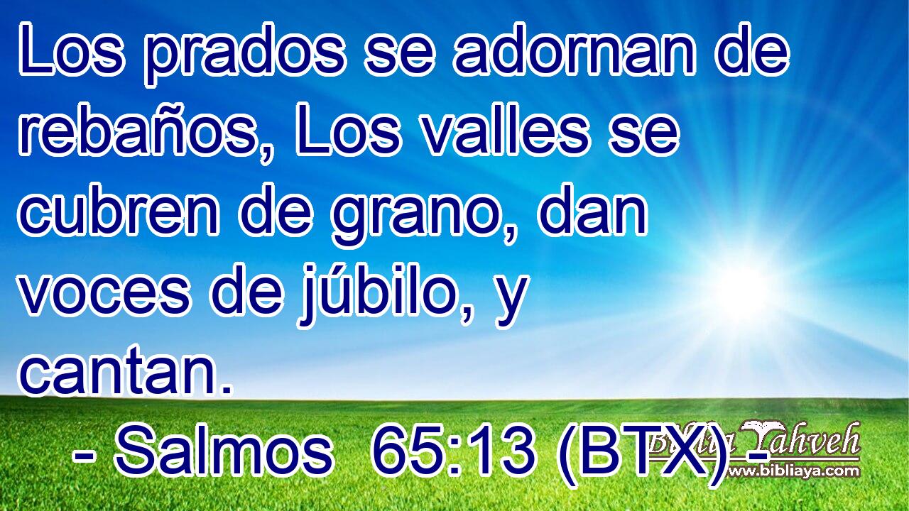 Los prados se adornan de rebaños, Los valles se cubren de grano, dan voces de júbilo, y cantan.