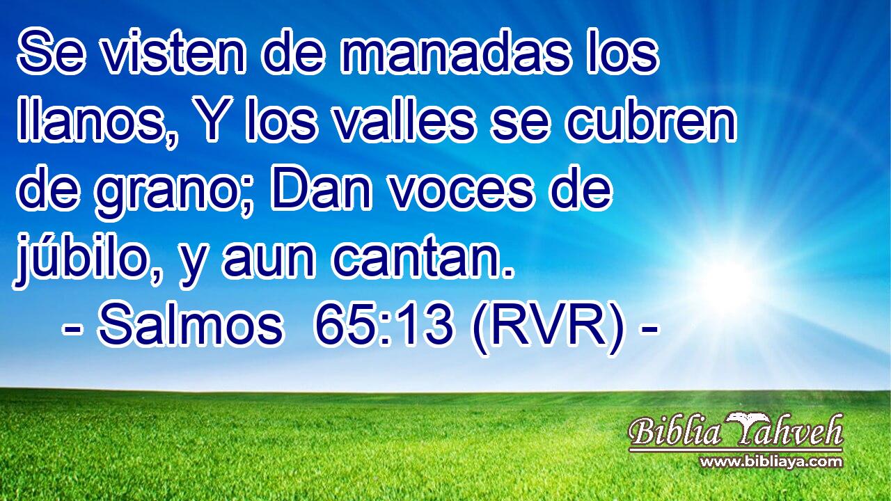 Se visten de manadas los llanos, Y los valles se cubren de grano; Dan voces de júbilo, y aun cantan.