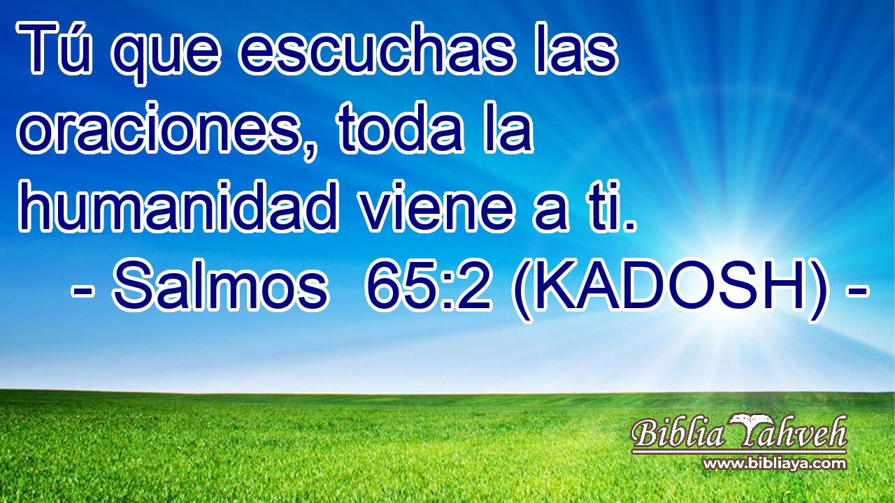  Tú que escuchas las oraciones, toda la humanidad viene a ti. 