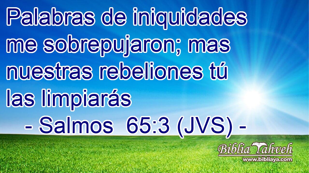 Palabras de iniquidades me sobrepujaron; mas nuestras rebeliones tú las limpiarás