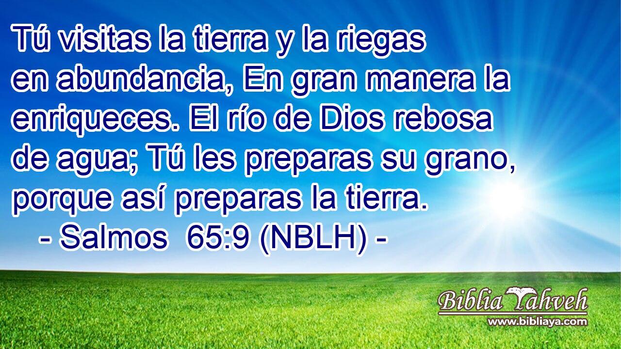  Tú visitas la tierra y la riegas en abundancia, En gran manera la enriqueces. El río de Dios rebosa de agua; Tú les preparas su grano, porque así preparas la tierra. 