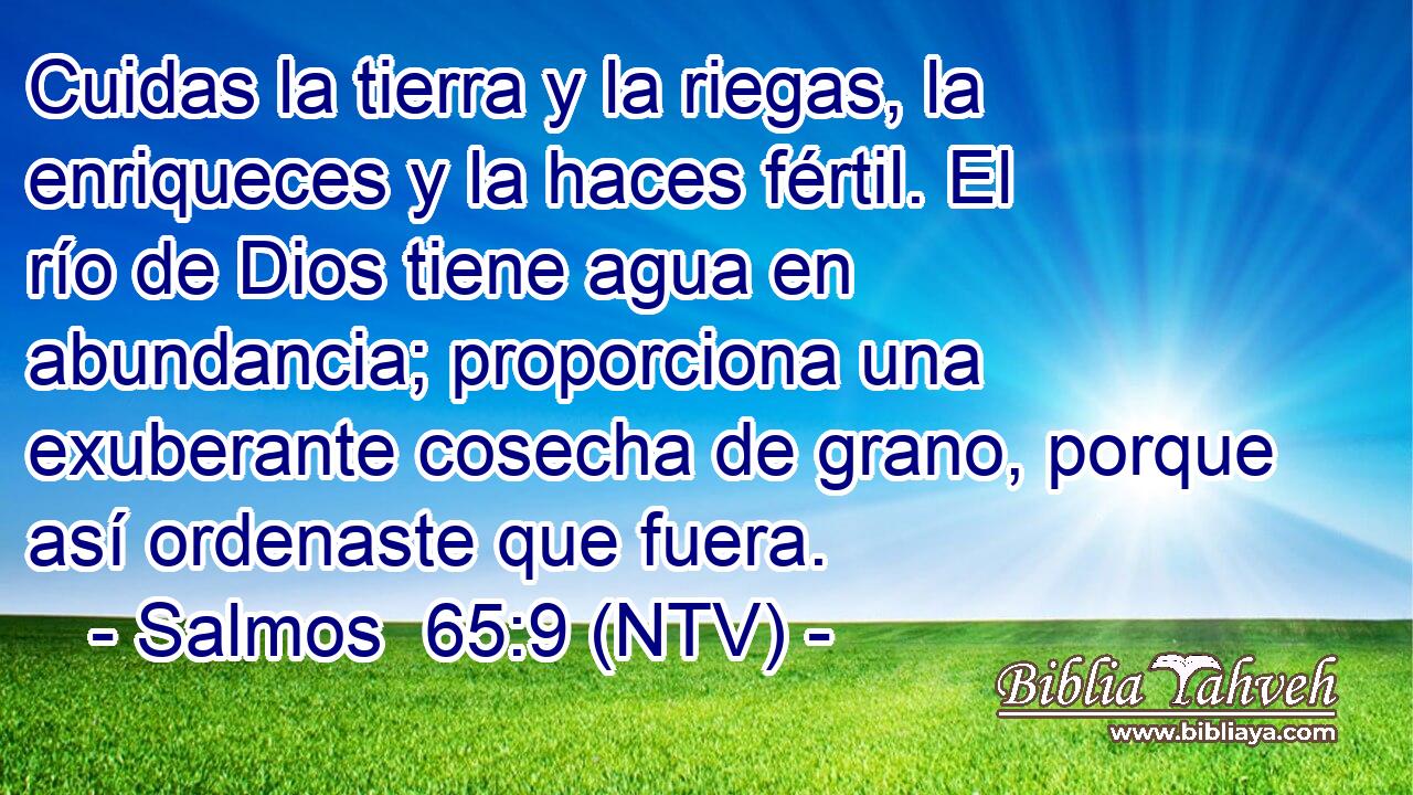 Cuidas la tierra y la riegas, la enriqueces y la haces fértil. El río de Dios tiene agua en abundancia; proporciona una exuberante cosecha de grano, porque así ordenaste que fuera.