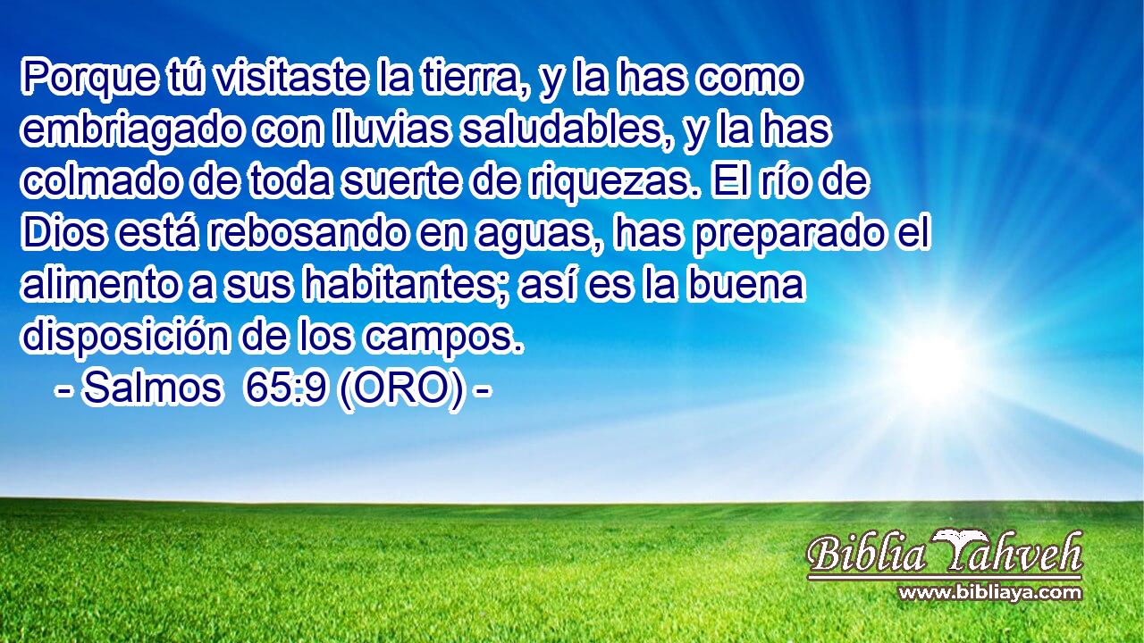  Porque tú visitaste la tierra, y la has como embriagado con lluvias saludables, y la has colmado de toda suerte de riquezas. El río de Dios está rebosando en aguas, has preparado el alimento a sus habitantes; así es la buena disposición de los campos. 