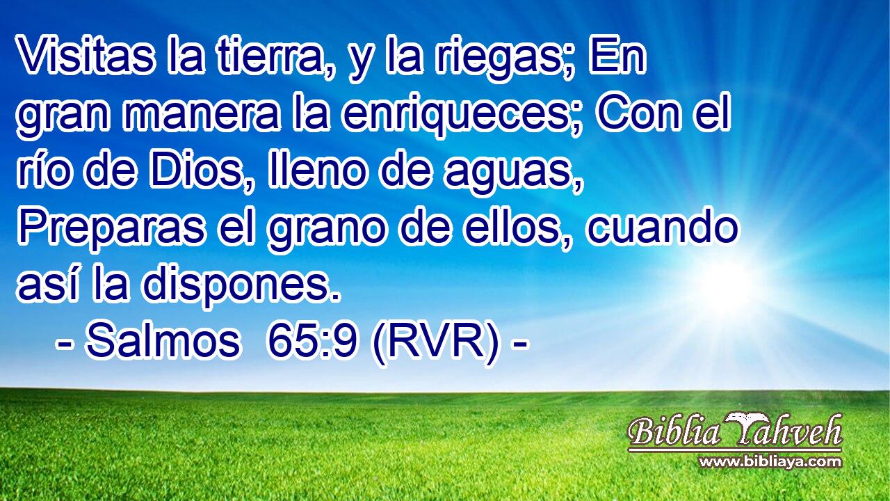 Visitas la tierra, y la riegas; En gran manera la enriqueces; Con el río de Dios, lleno de aguas, Preparas el grano de ellos, cuando así la dispones.