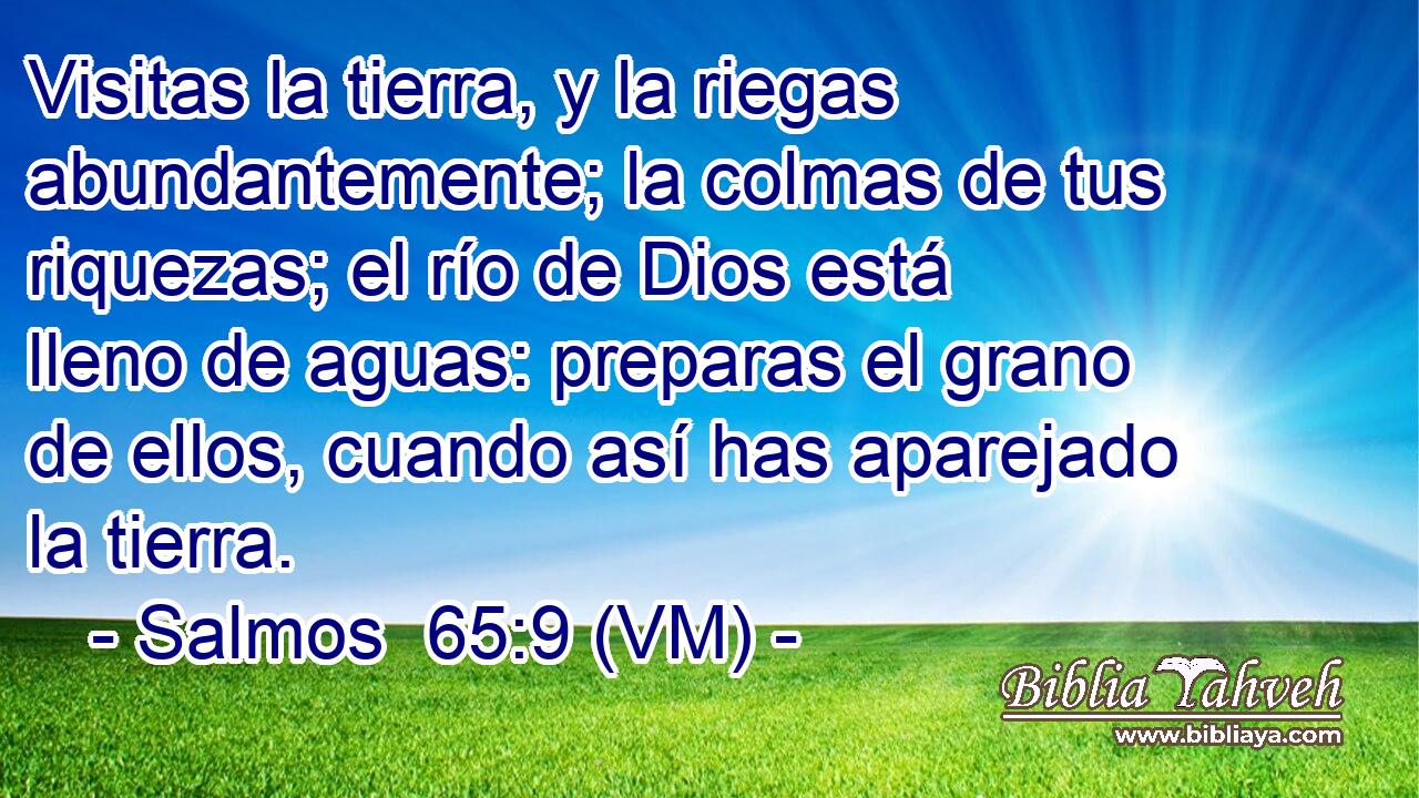  Visitas la tierra, y la riegas abundantemente; la colmas de tus riquezas; el río de Dios está lleno de aguas: preparas el grano de ellos, cuando así has aparejado la tierra. 