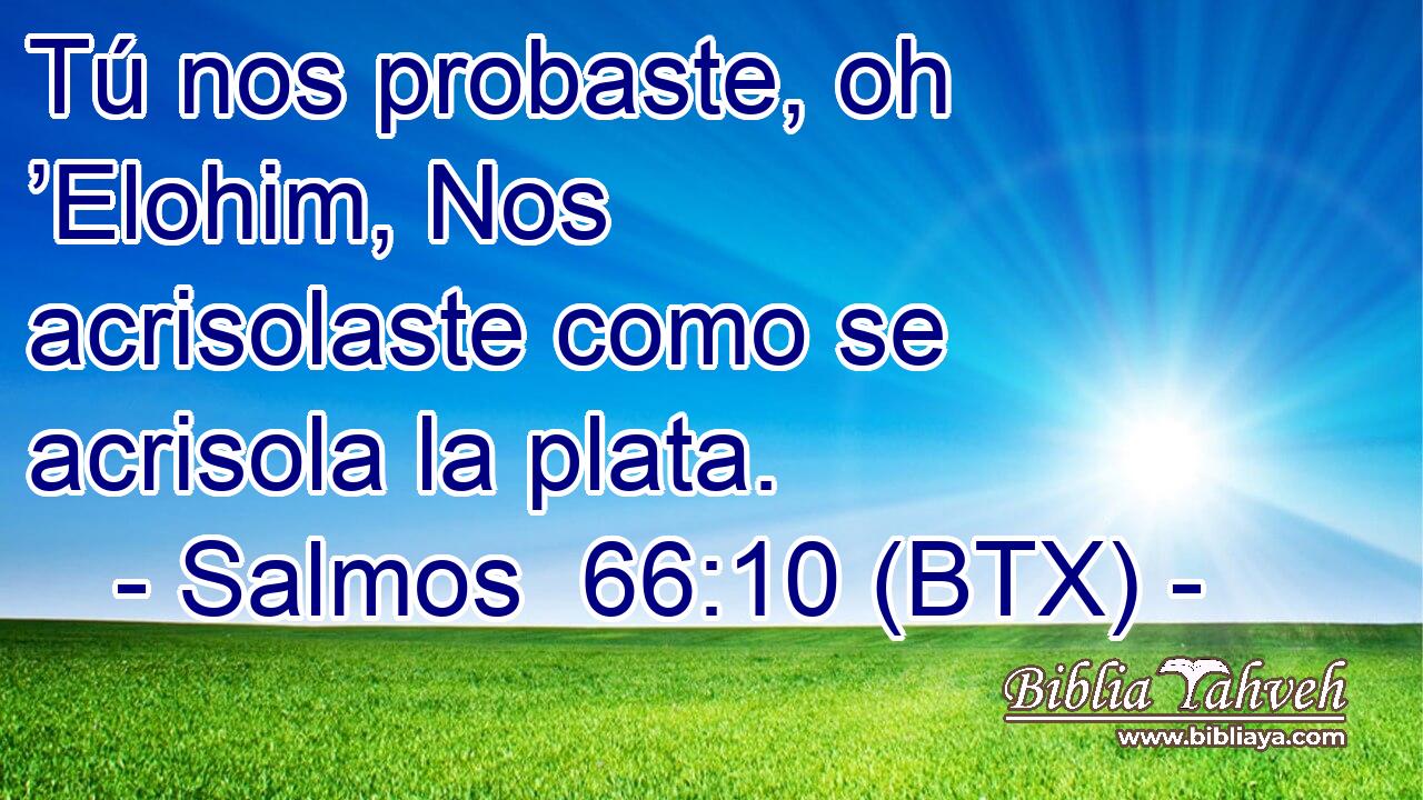 Tú nos probaste, oh ’Elohim, Nos acrisolaste como se acrisola la plata.
