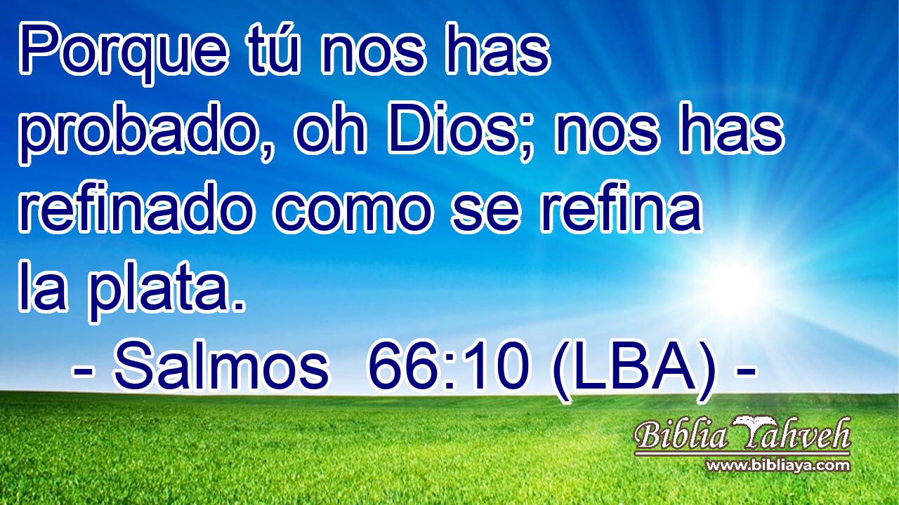 Porque tú nos has probado, oh Dios; nos has refinado como se refina la plata.