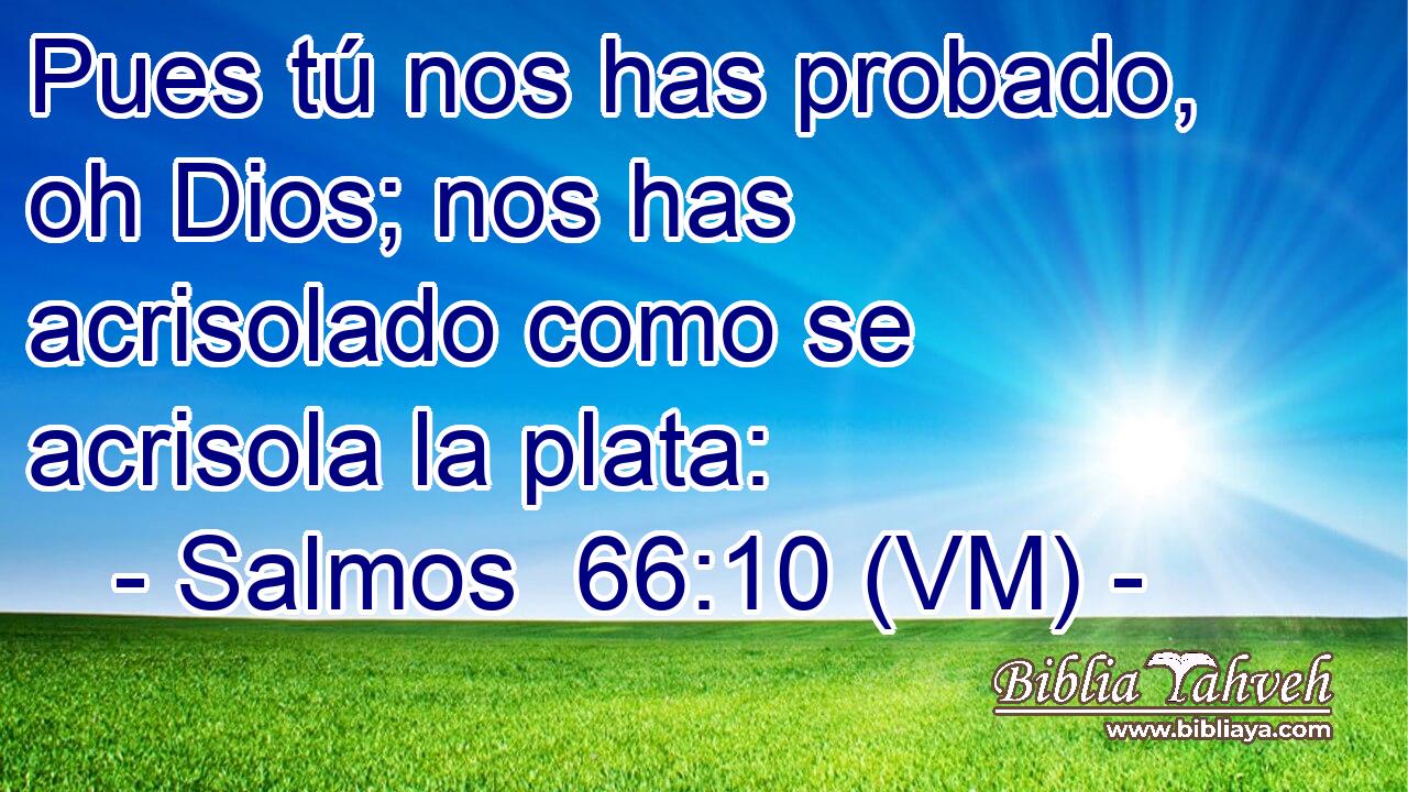  Pues tú nos has probado, oh Dios; nos has acrisolado como se acrisola la plata: 