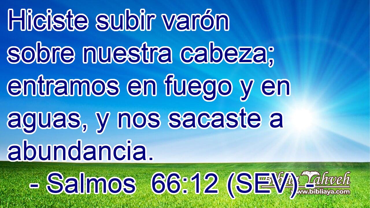 Hiciste subir varón sobre nuestra cabeza; entramos en fuego y en aguas, y nos sacaste a abundancia.