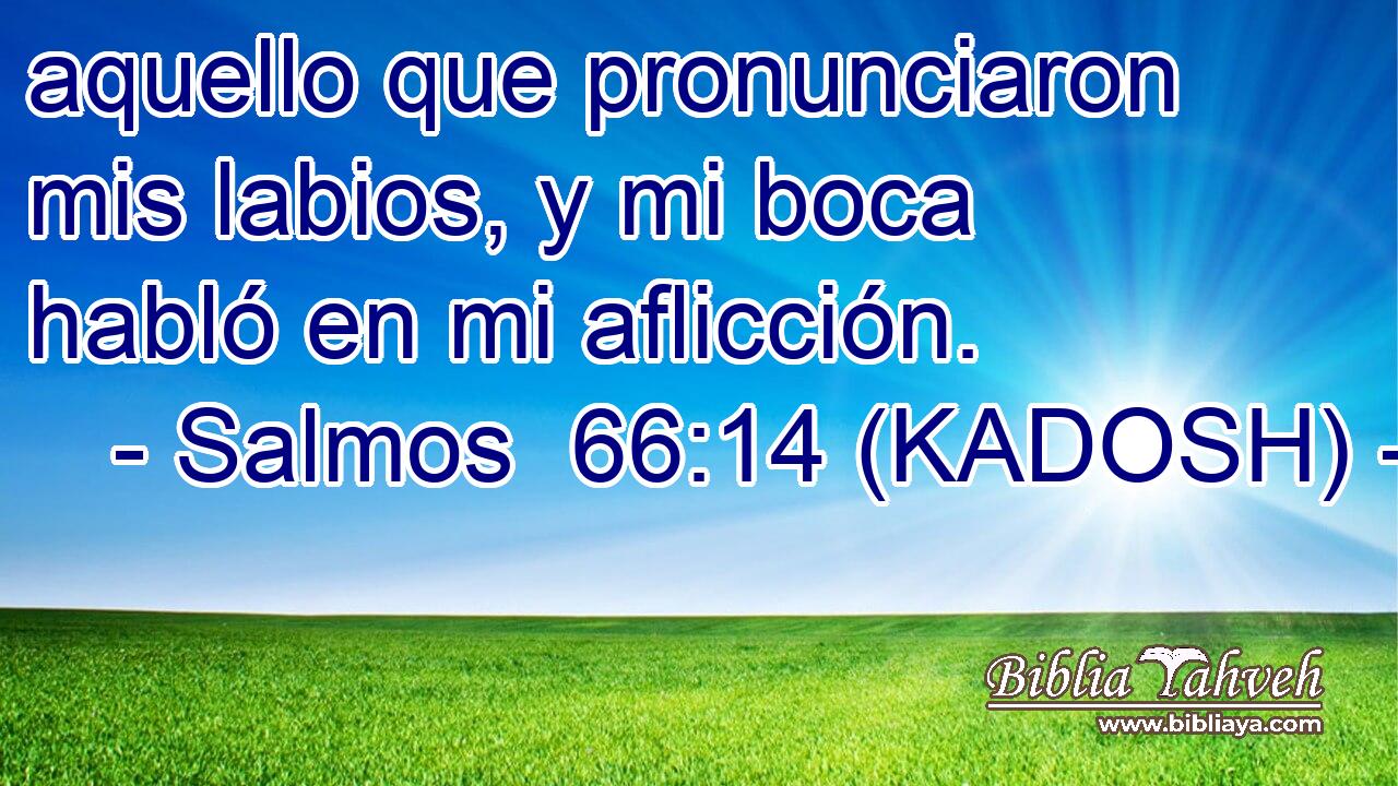  aquello que pronunciaron mis labios, y mi boca habló en mi aflicción. 
