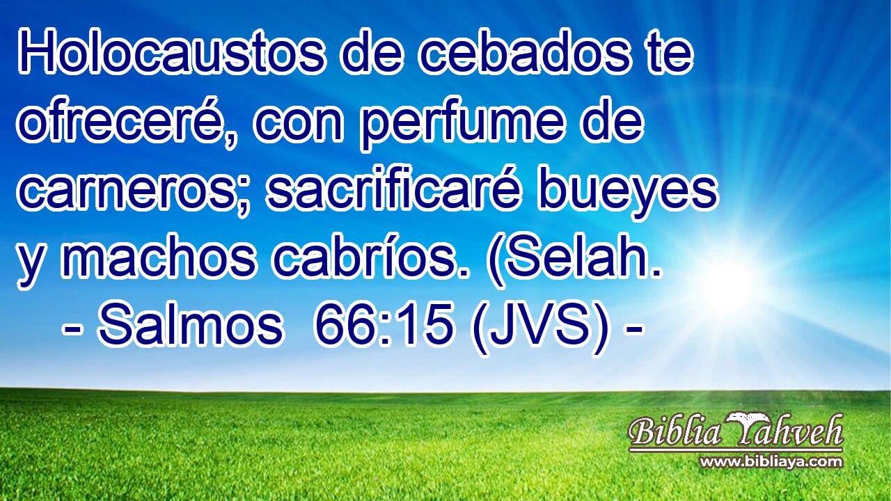 Holocaustos de cebados te ofreceré, con perfume de carneros; sacrificaré bueyes y machos cabríos. (Selah.