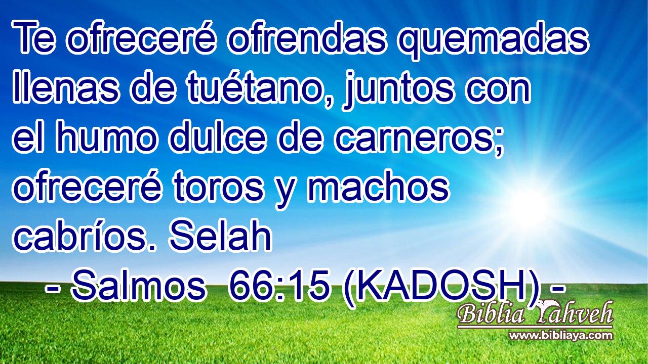  Te ofreceré ofrendas quemadas llenas de tuétano, juntos con el humo dulce de carneros; ofreceré toros y machos cabríos. Selah 