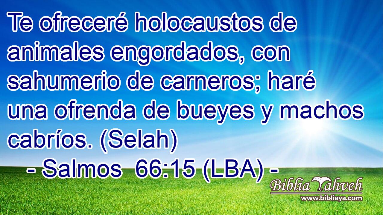 Te ofreceré holocaustos de animales engordados, con sahumerio de carneros; haré una ofrenda de bueyes y machos cabríos. (Selah)