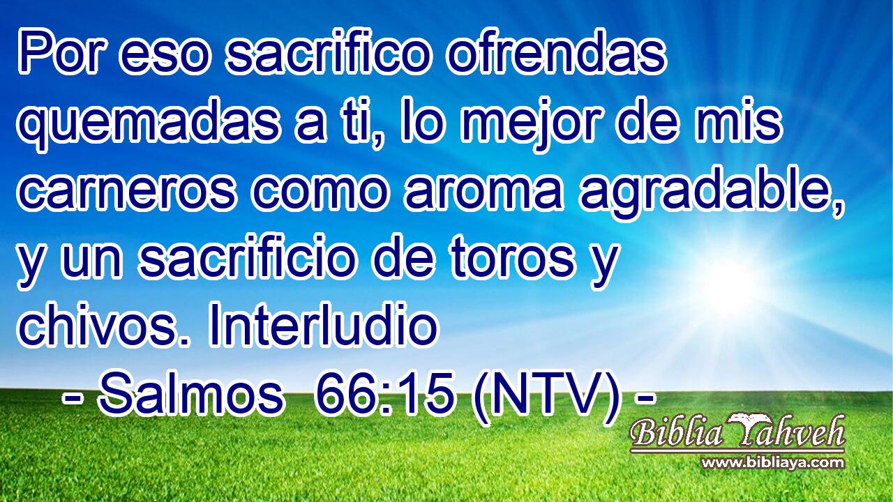 Por eso sacrifico ofrendas quemadas a ti, lo mejor de mis carneros como aroma agradable, y un sacrificio de toros y chivos. Interludio