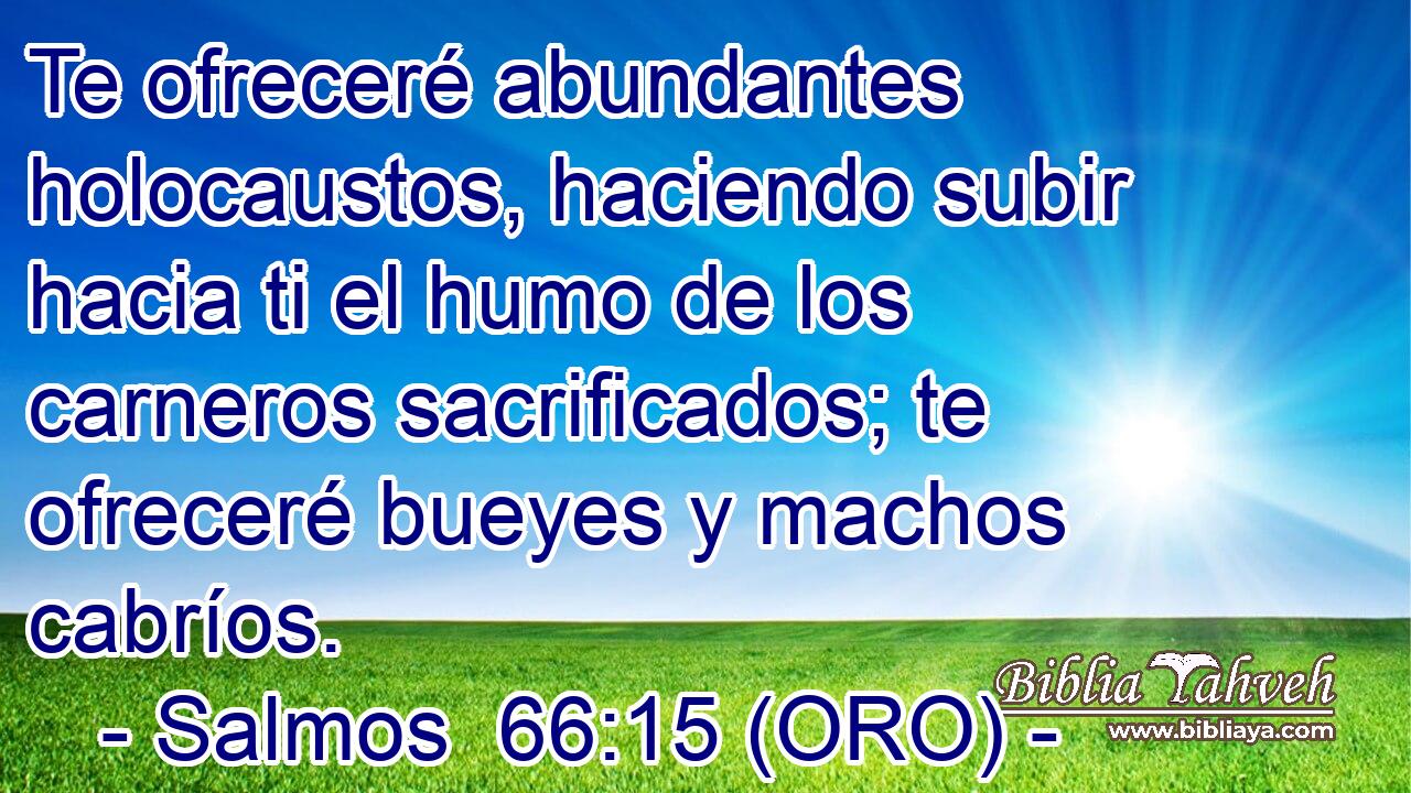  Te ofreceré abundantes holocaustos, haciendo subir hacia ti el humo de los carneros sacrificados; te ofreceré bueyes y machos cabríos. 