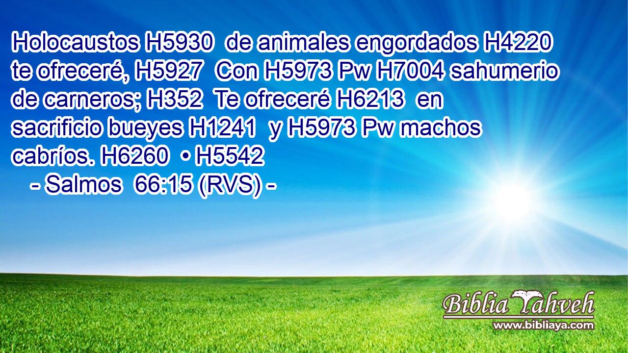 Holocaustos H5930  de animales engordados H4220  te ofreceré, H5927  Con H5973 Pw H7004 sahumerio de carneros; H352  Te ofreceré H6213  en sacrificio bueyes H1241  y H5973 Pw machos cabríos. H6260  • H5542  