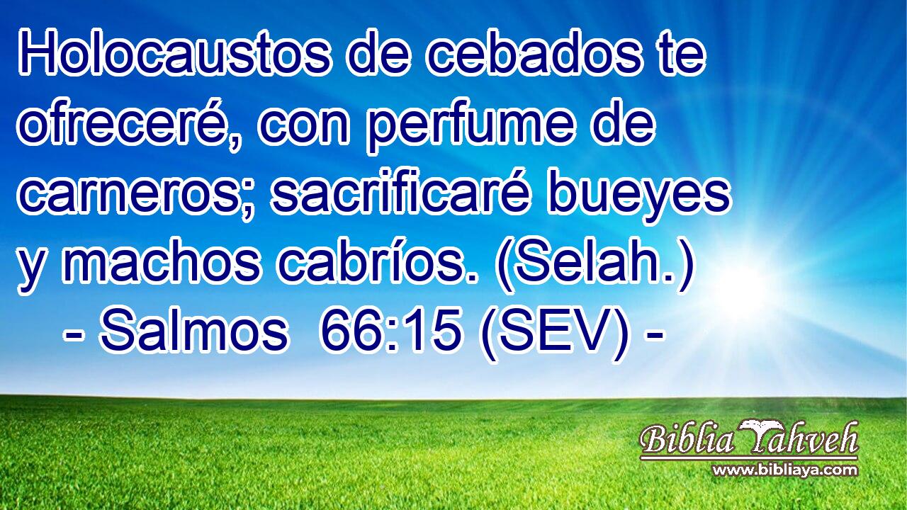 Holocaustos de cebados te ofreceré, con perfume de carneros; sacrificaré bueyes y machos cabríos. (Selah.)