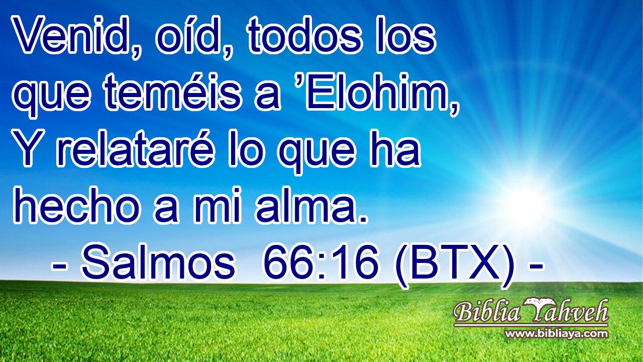 Venid, oíd, todos los que teméis a ’Elohim, Y relataré lo que ha hecho a mi alma.