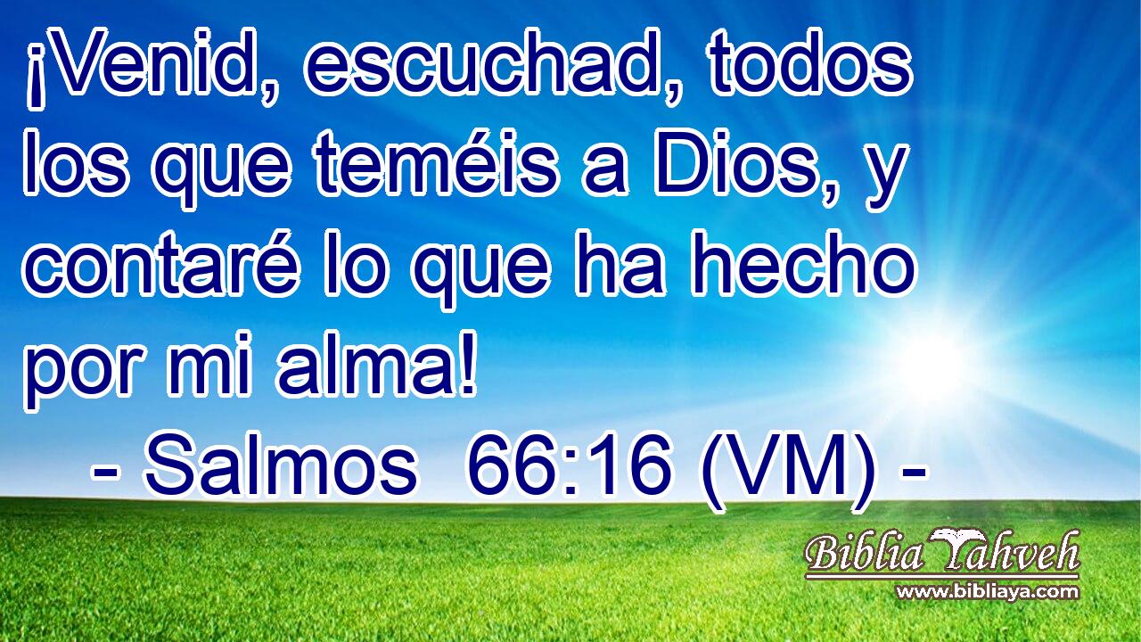  ¡Venid, escuchad, todos los que teméis a Dios, y contaré lo que ha hecho por mi alma! 