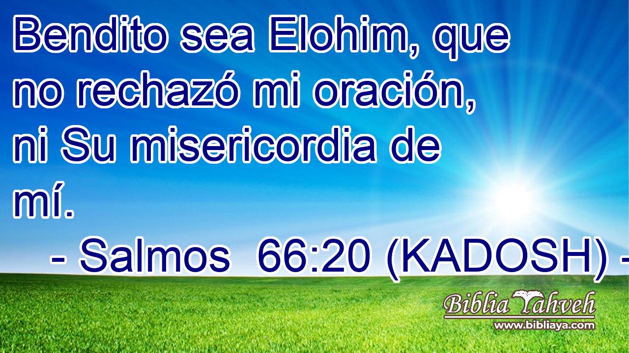  Bendito sea Elohim, que no rechazó mi oración, ni Su misericordia de mí. 