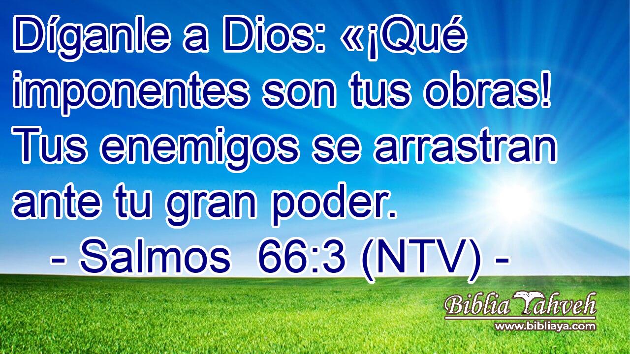 Díganle a Dios: «¡Qué imponentes son tus obras! Tus enemigos se arrastran ante tu gran poder.