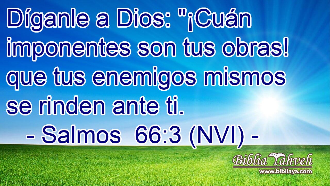  Díganle a Dios: 