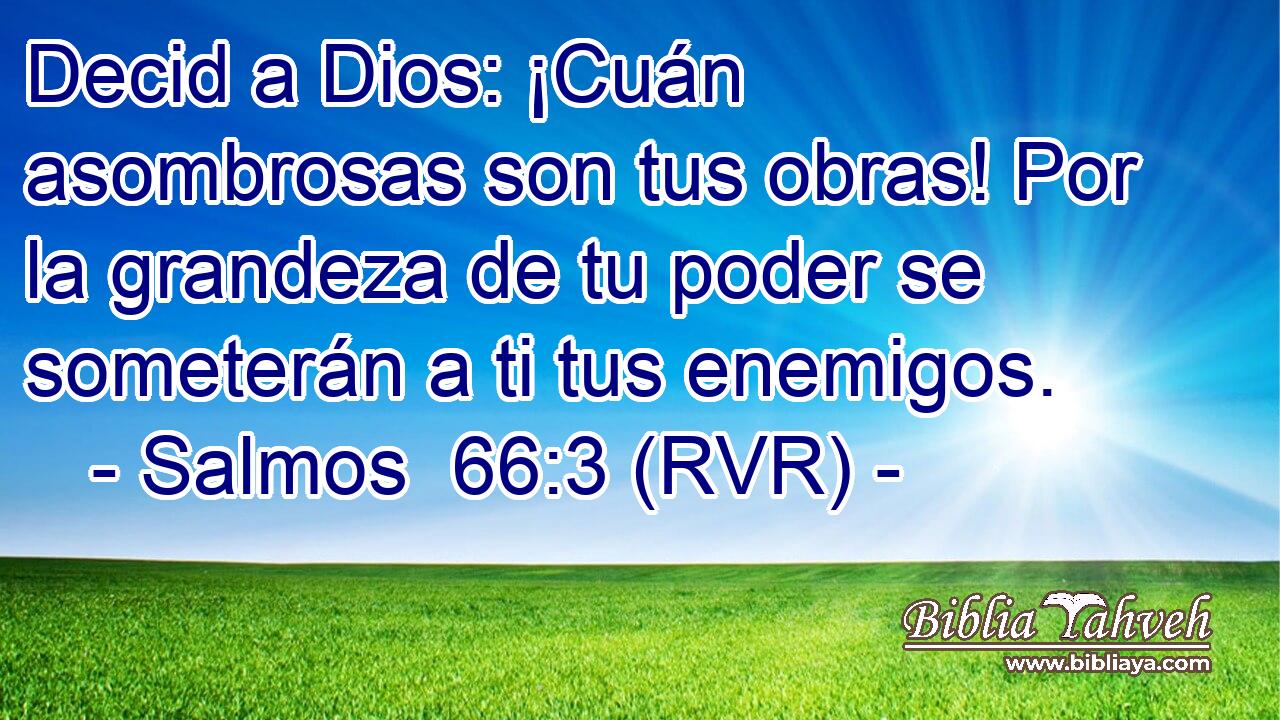 Decid a Dios: ¡Cuán asombrosas son tus obras! Por la grandeza de tu poder se someterán a ti tus enemigos.