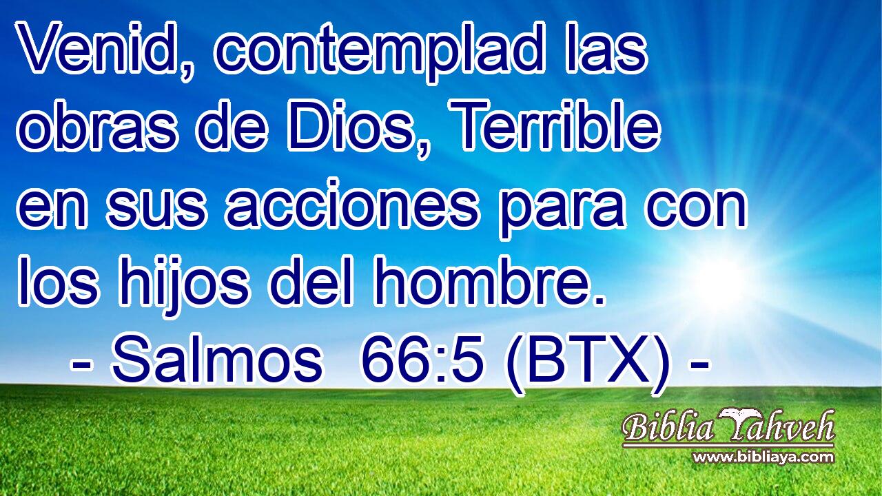 Venid, contemplad las obras de Dios, Terrible en sus acciones para con los hijos del hombre.