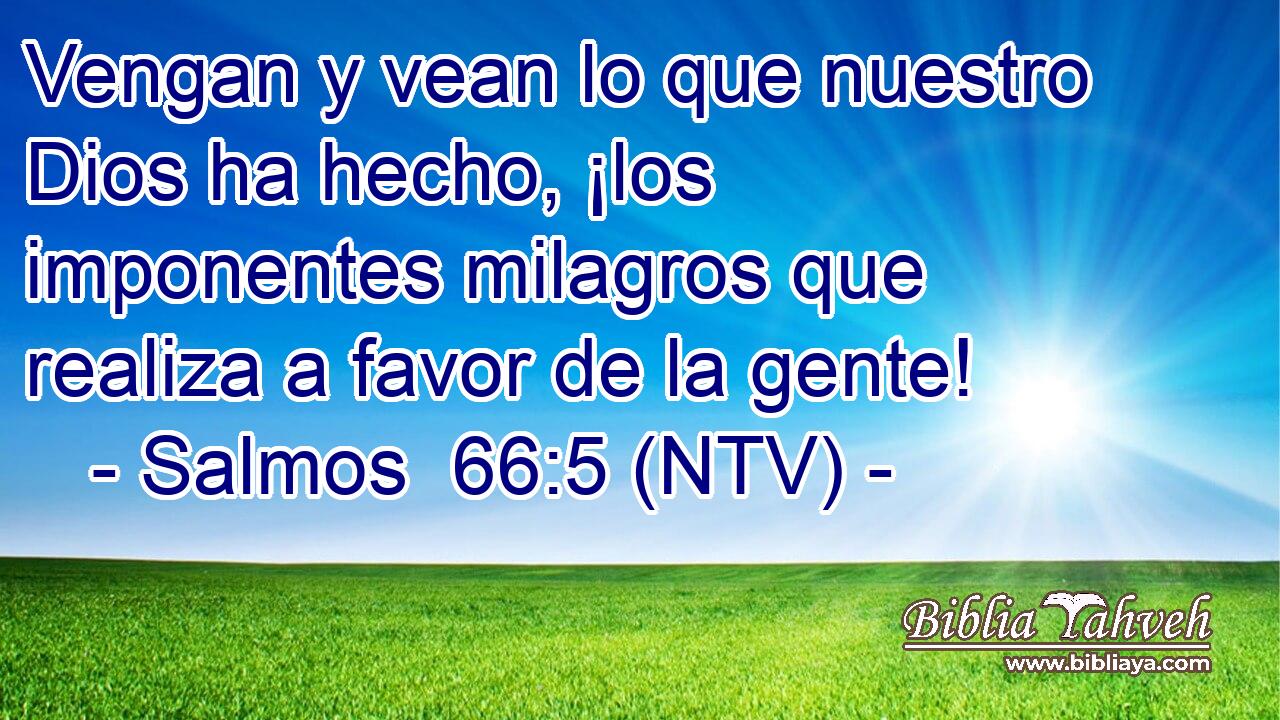 Vengan y vean lo que nuestro Dios ha hecho, ¡los imponentes milagros que realiza a favor de la gente!