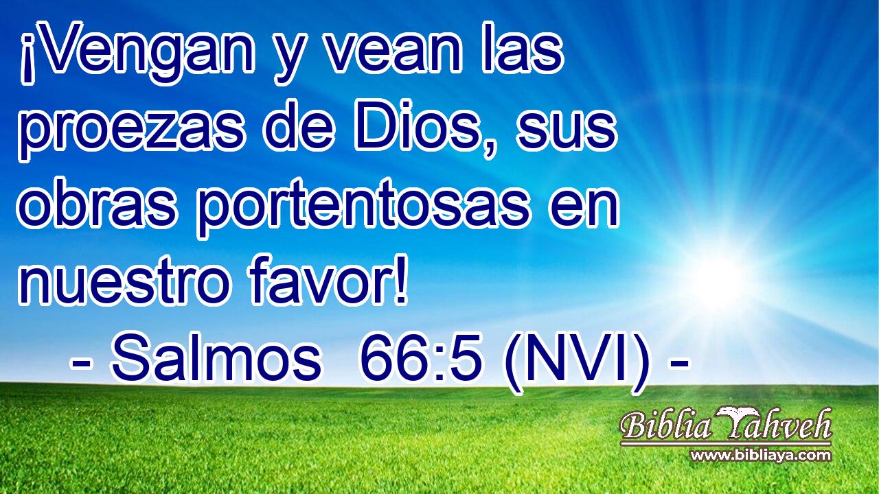  ¡Vengan y vean las proezas de Dios, sus obras portentosas en nuestro favor! 