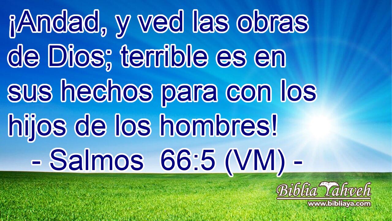 ¡Andad, y ved las obras de Dios; terrible es en sus hechos para con los hijos de los hombres! 