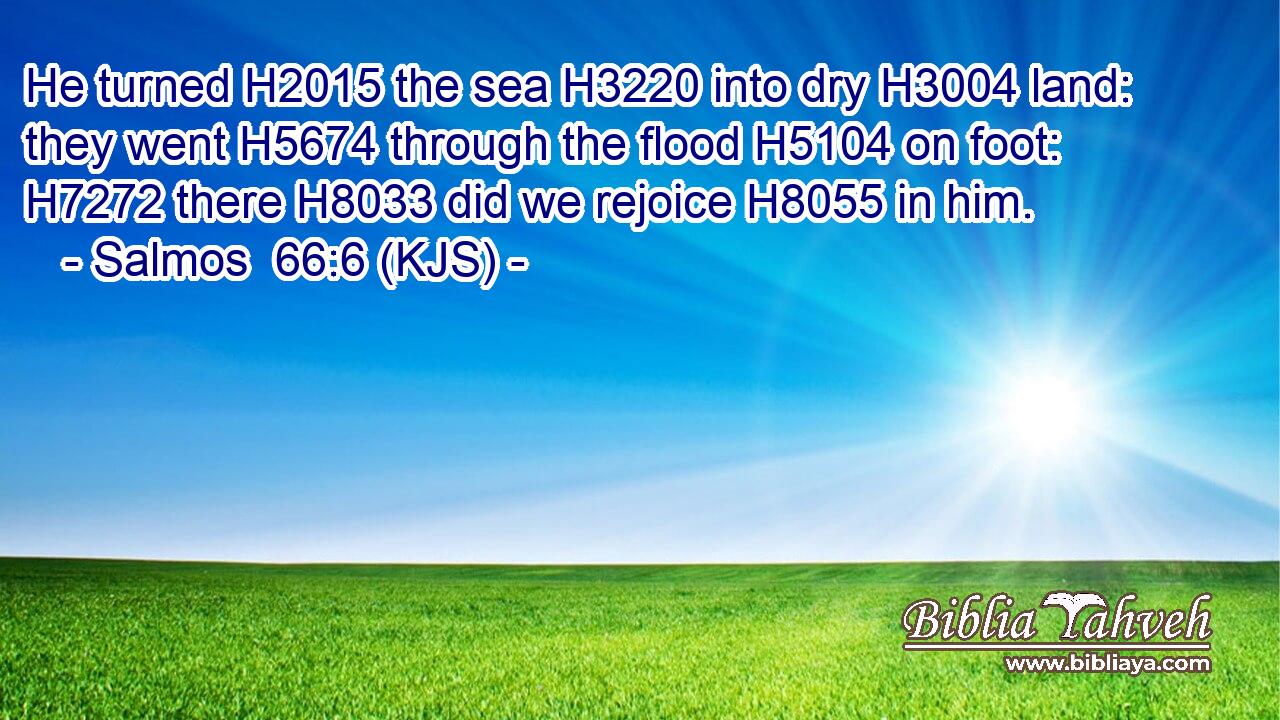 He turned H2015 the sea H3220 into dry H3004 land: they went H5674 through the flood H5104 on foot: H7272 there H8033 did we rejoice H8055 in him.